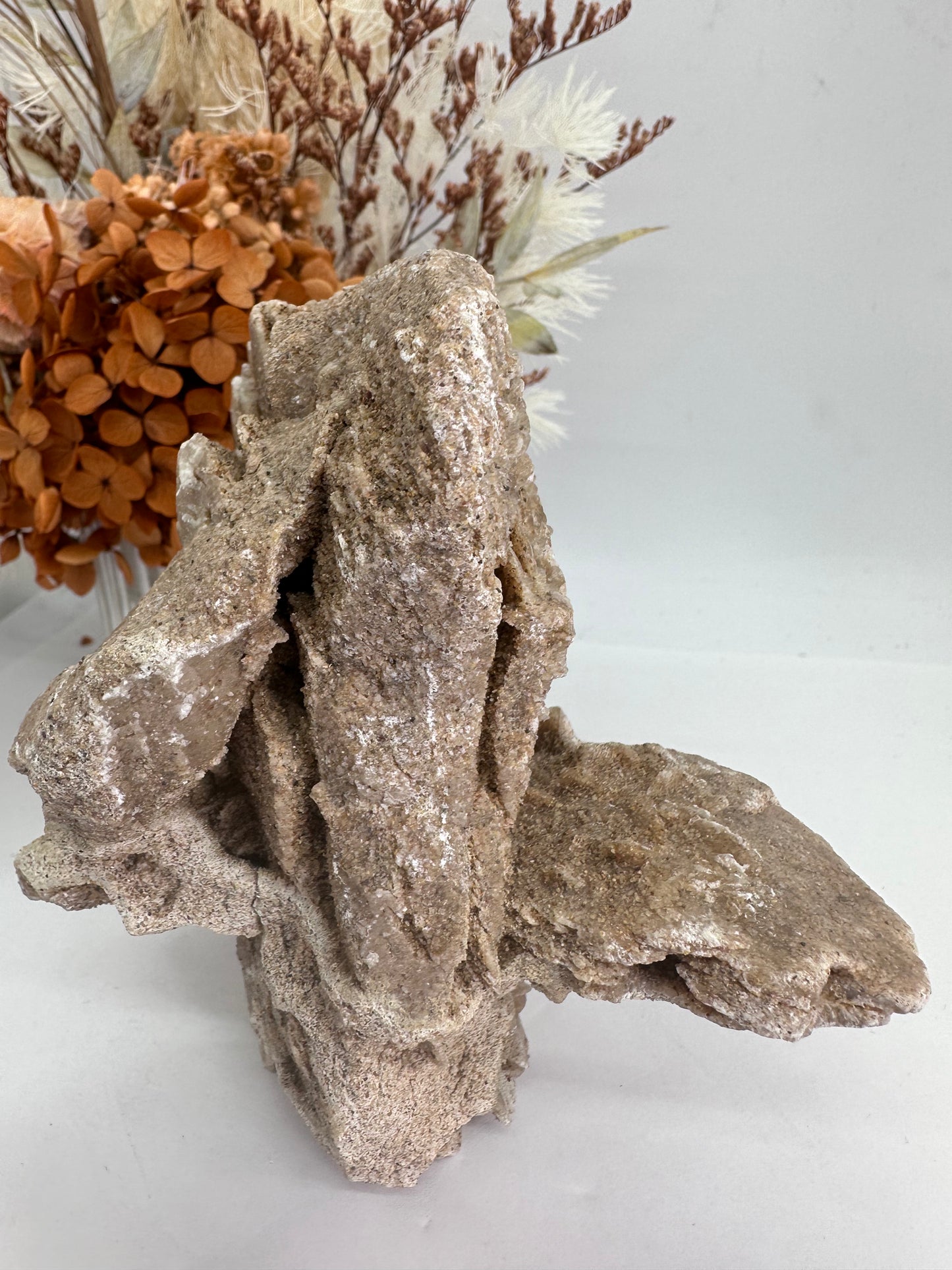 Desert Rose Dragon