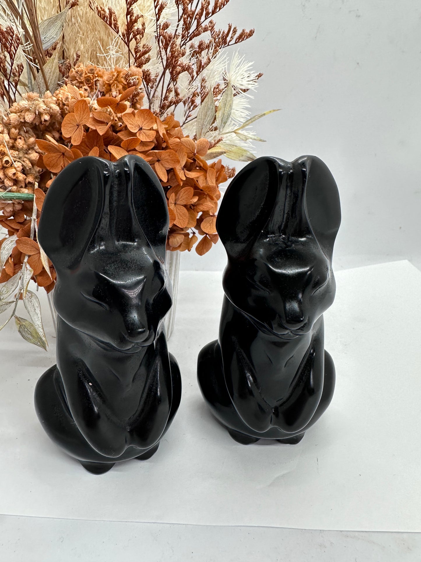 Lge Obsidian PP Rabbits ( reversible 18+)
