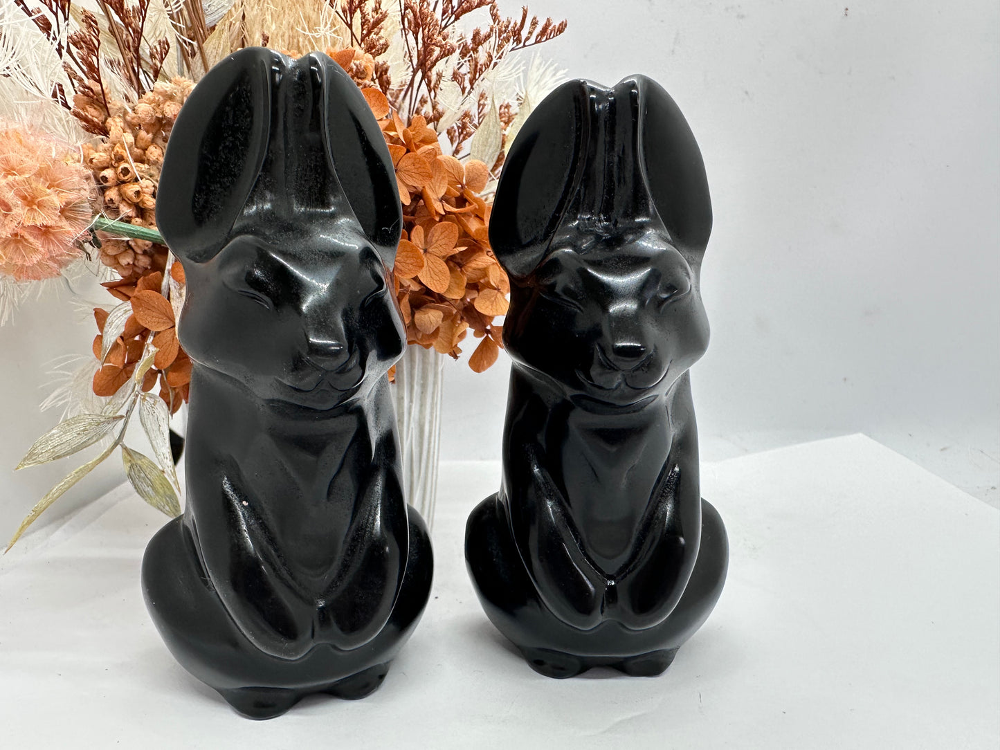 Lge Obsidian PP Rabbits ( reversible 18+)