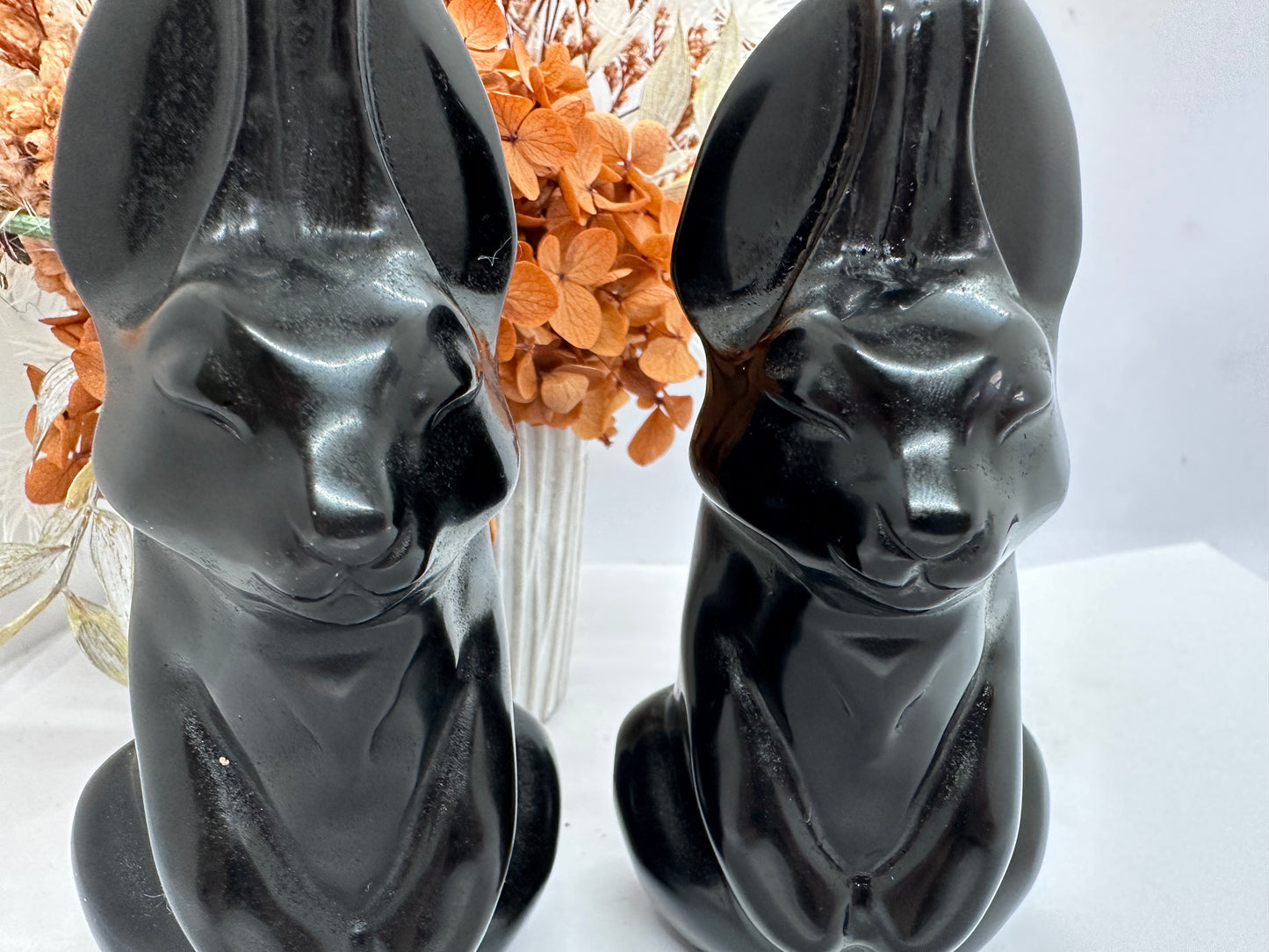 Lge Obsidian PP Rabbits ( reversible 18+)