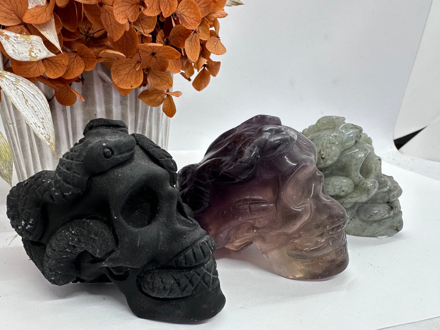 Skull with Snake