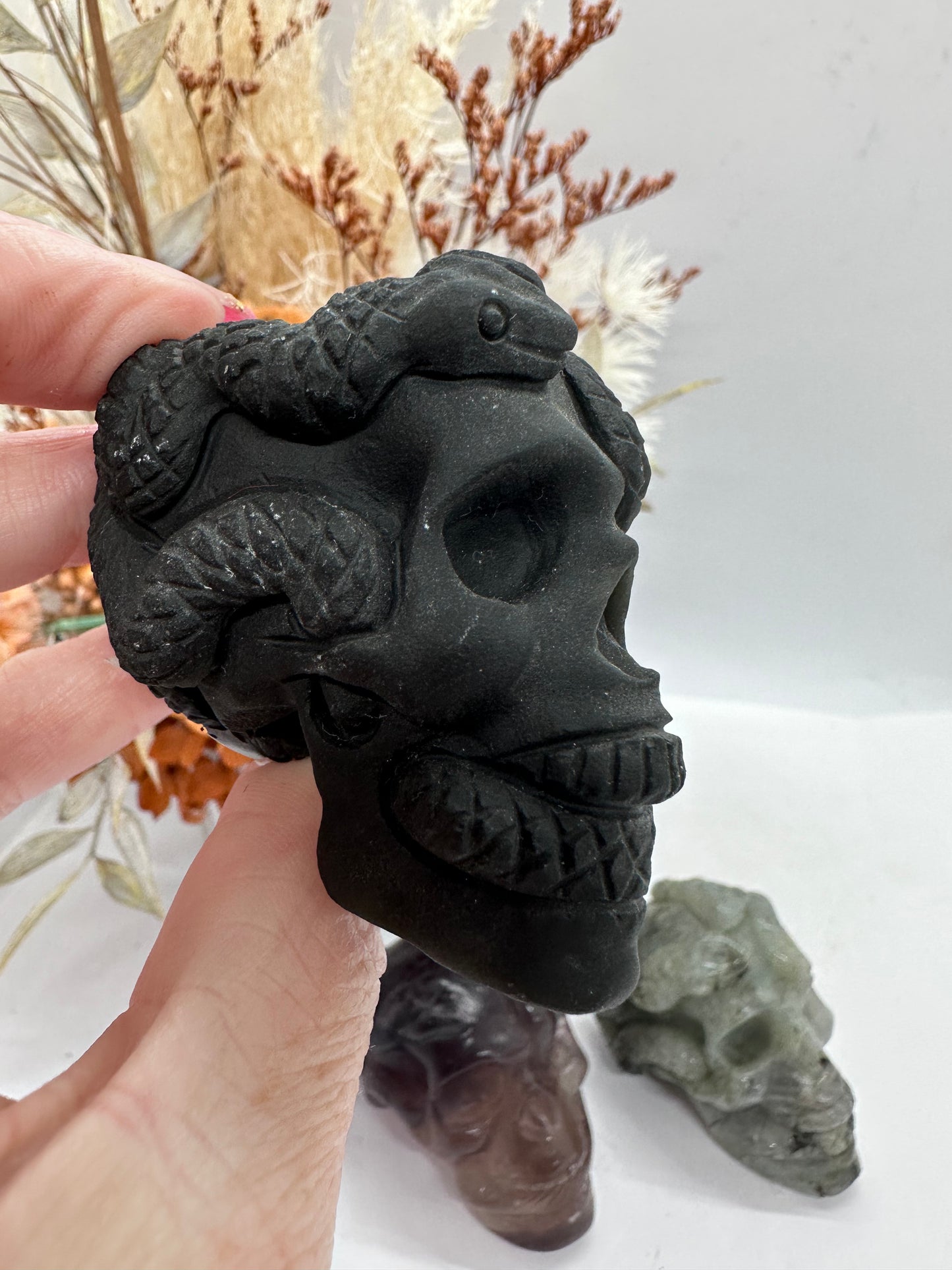 Skull with Snake