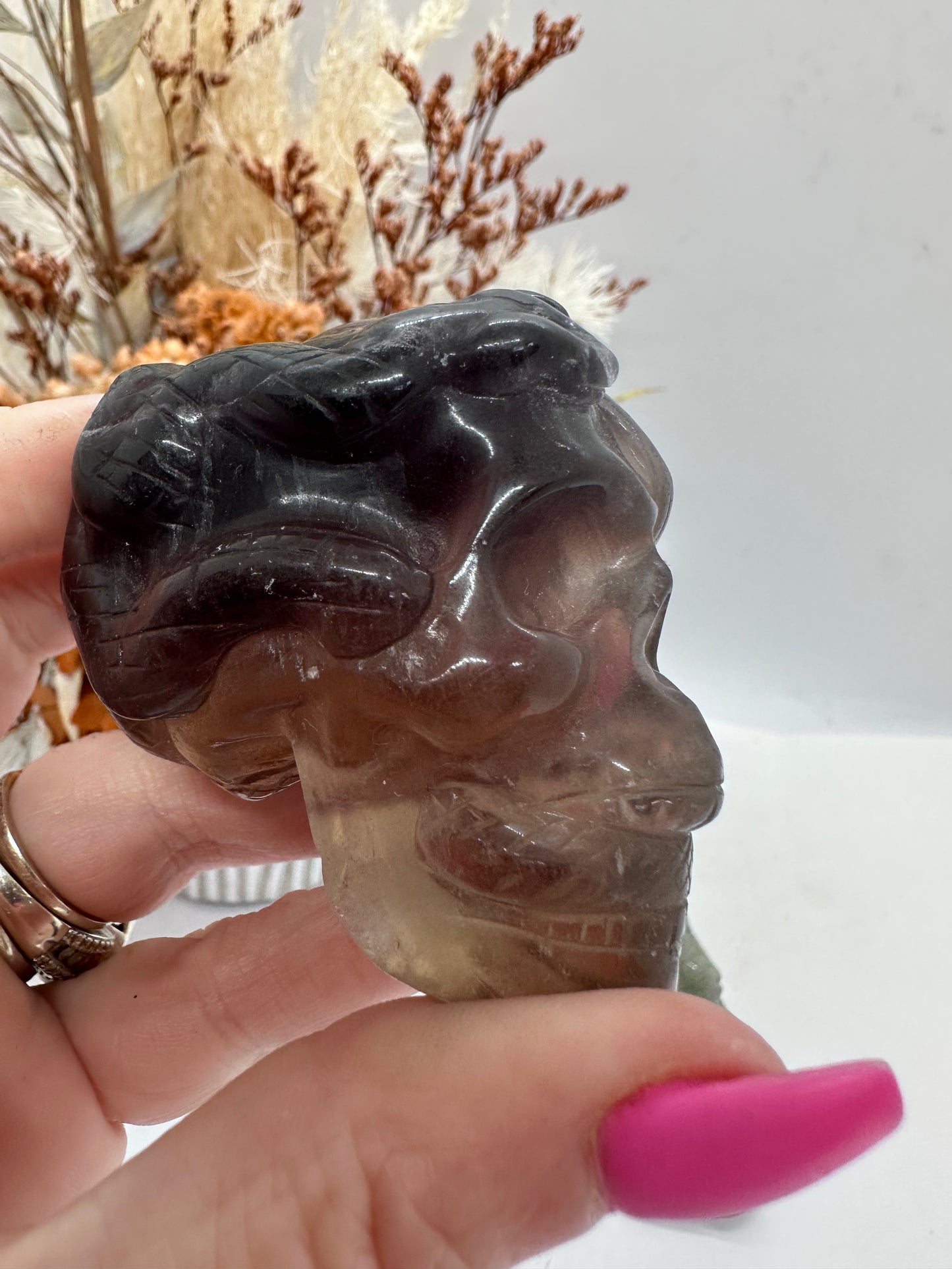 Skull with Snake