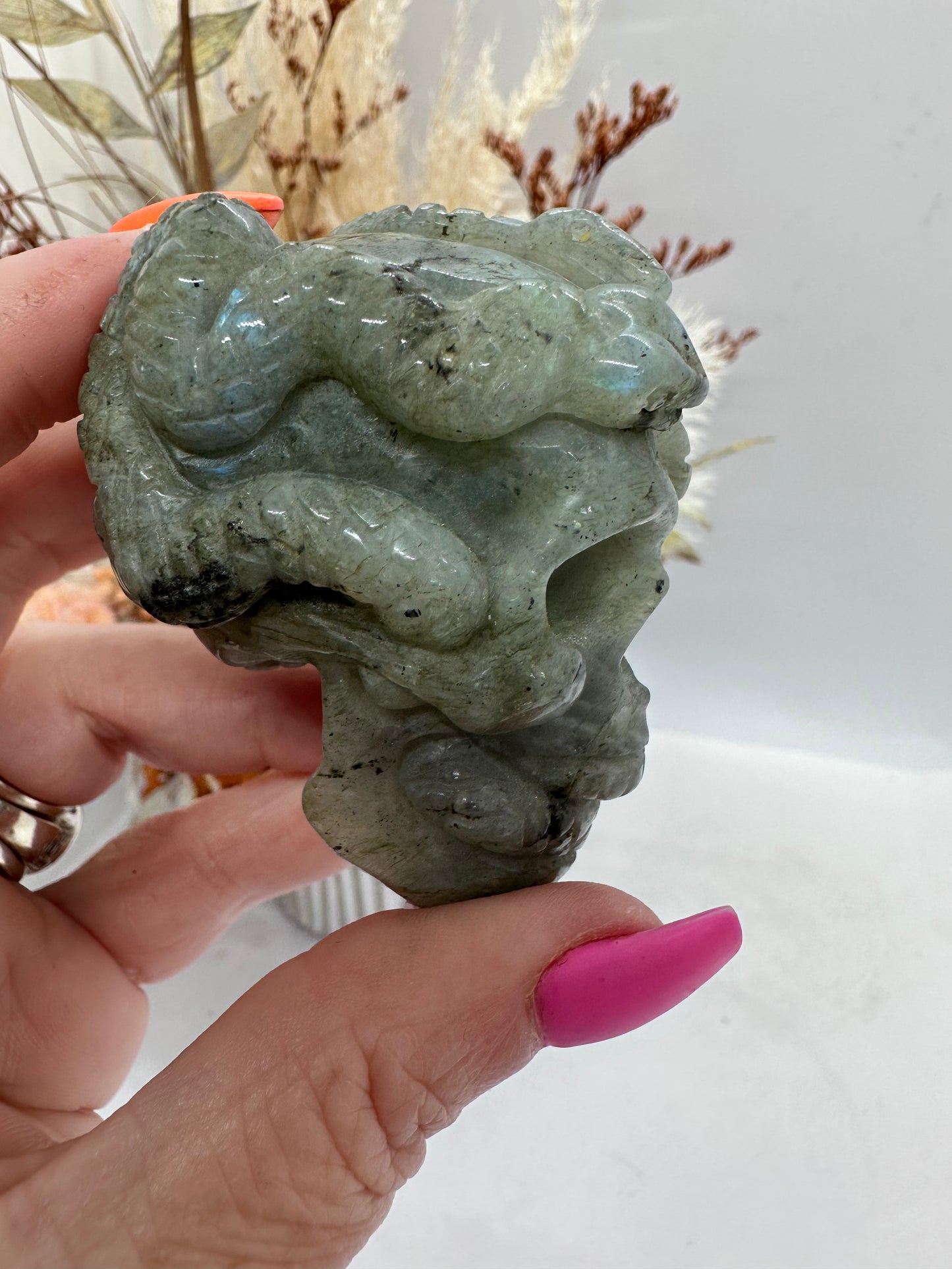 Skull with Snake
