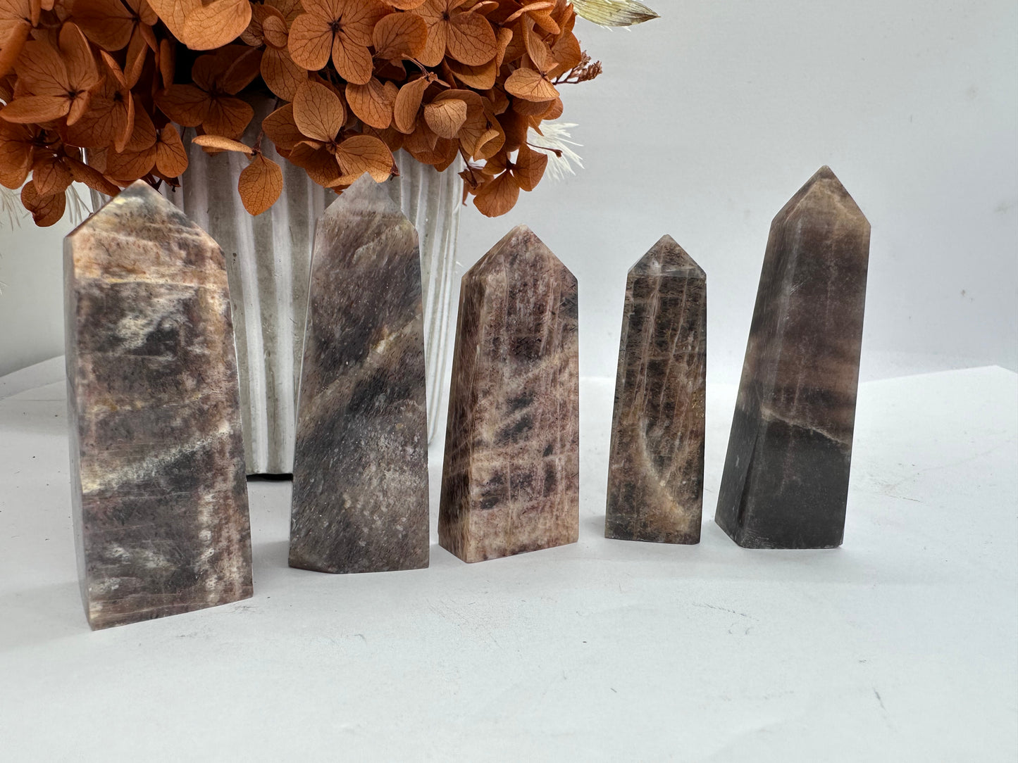 Black Moonstone with Sunstone Points