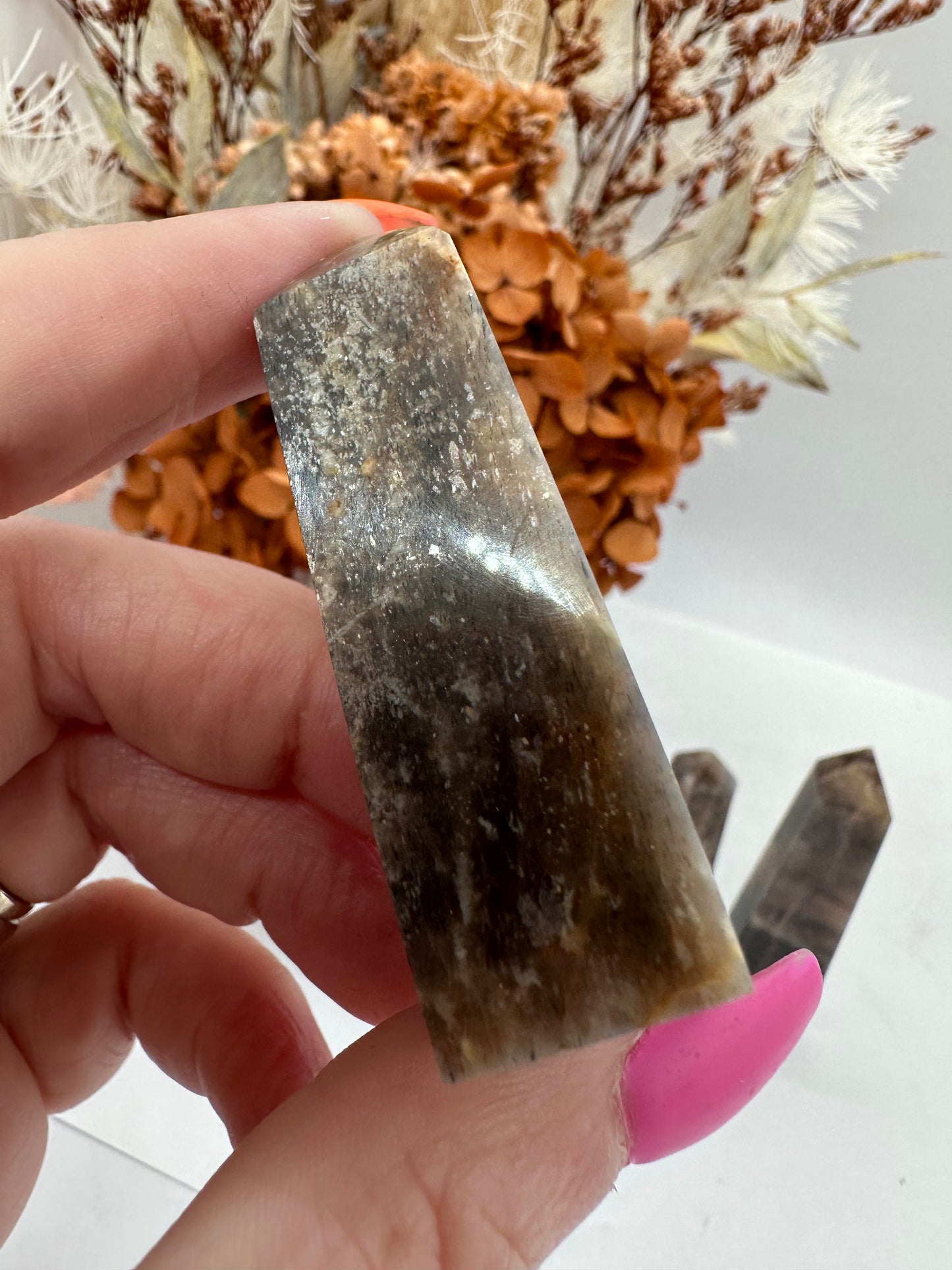 Black Moonstone with Sunstone Points