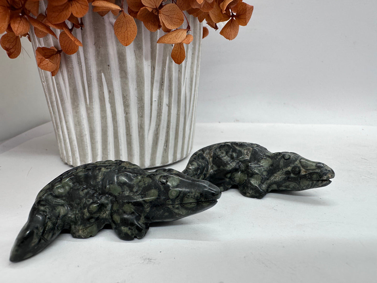 Kambaba Jasper Crocodile 🐊