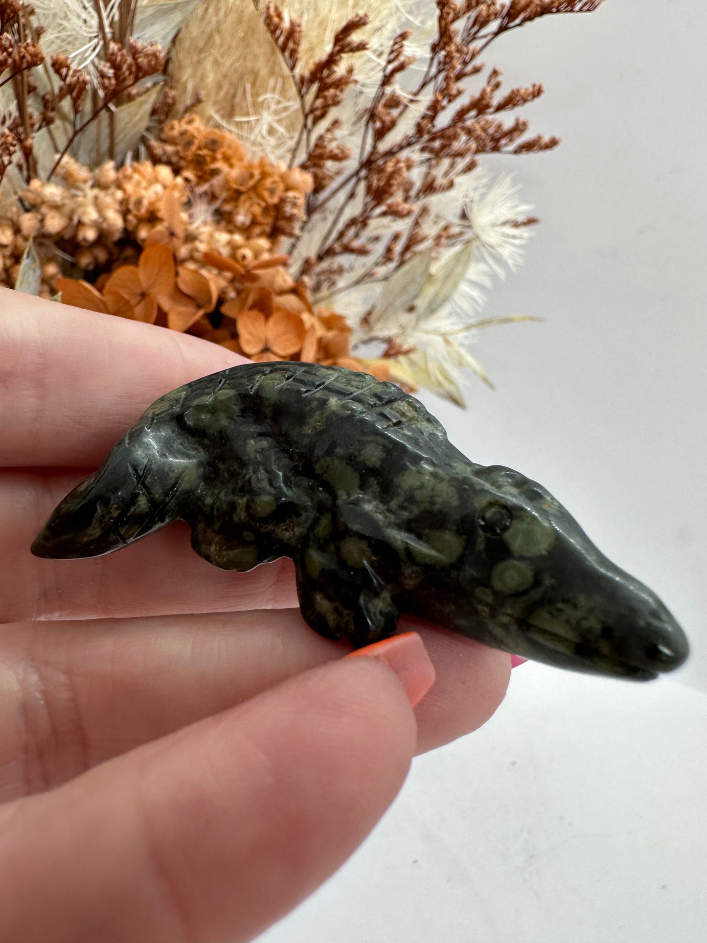 Kambaba Jasper Crocodile 🐊