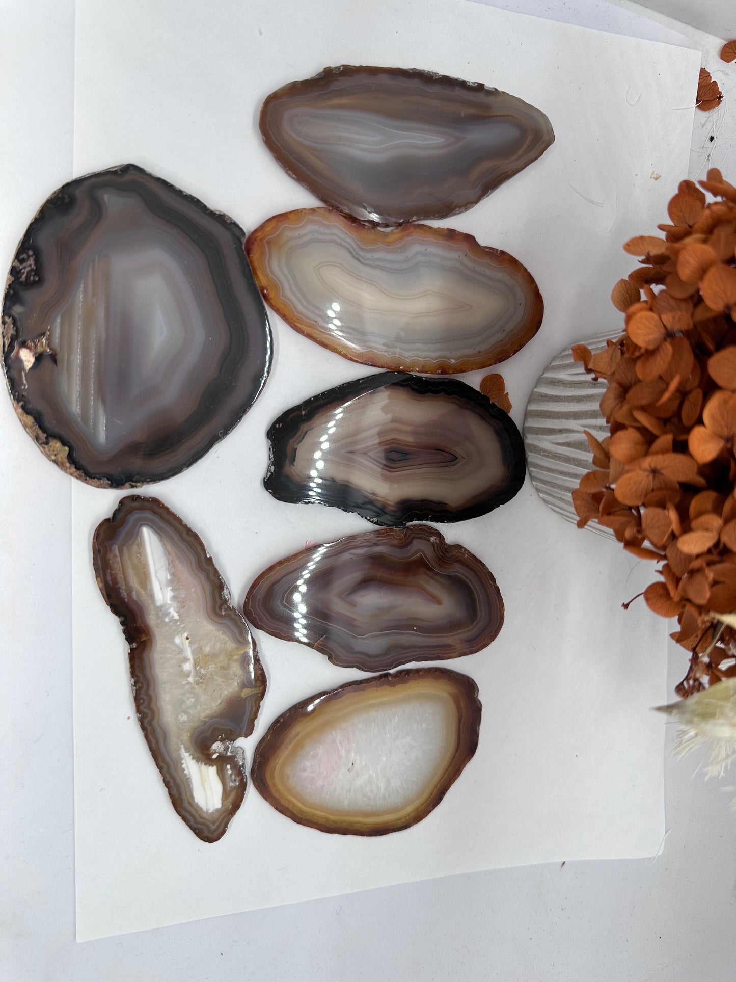 Brazilian Agate Slices