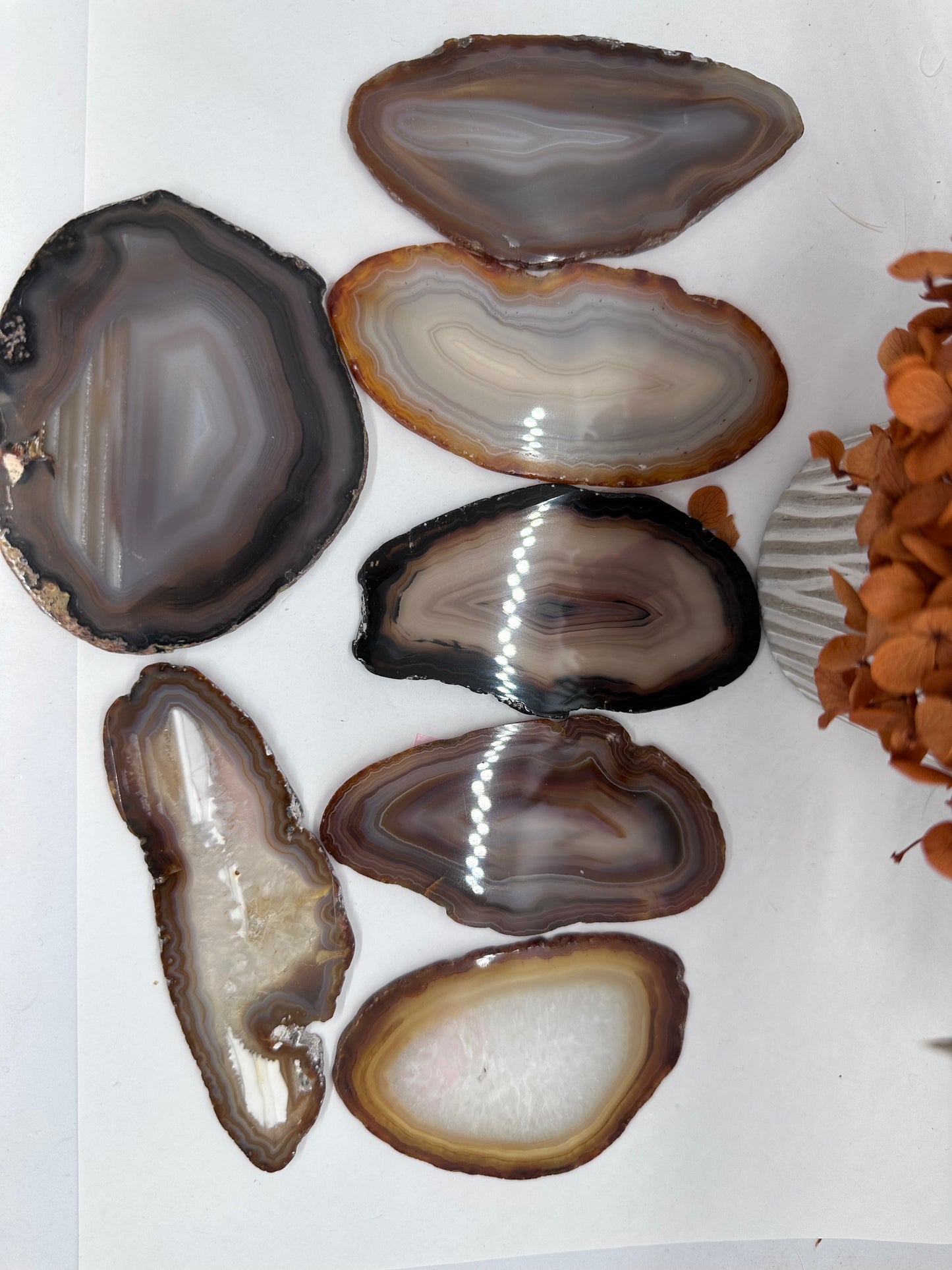 Brazilian Agate Slices