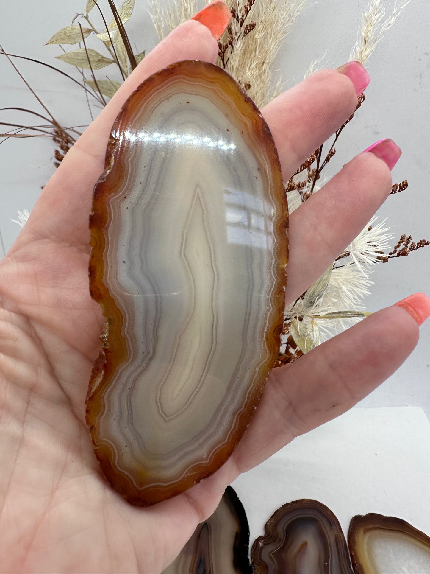 Brazilian Agate Slices