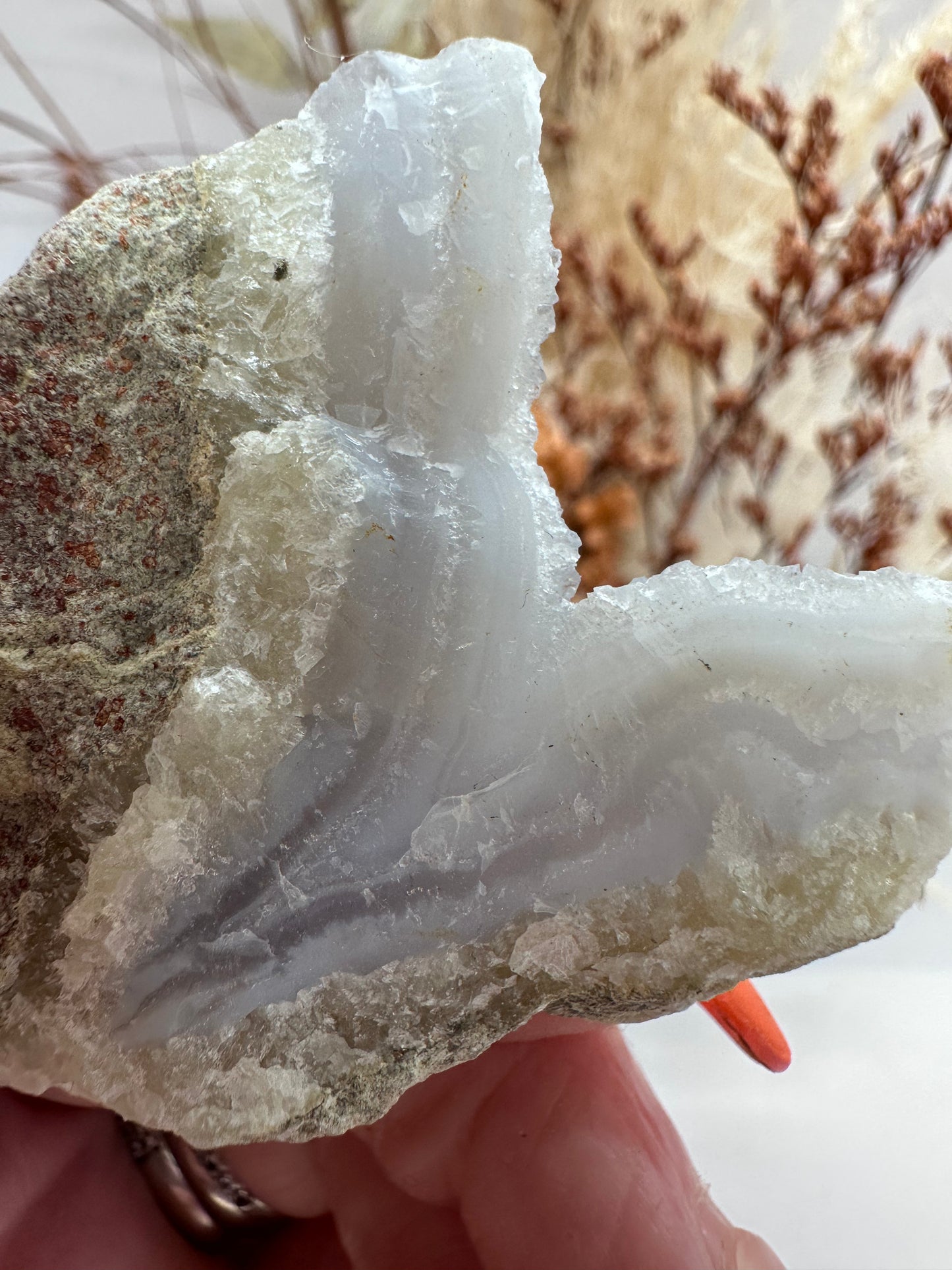(1) Blue Lace Agate Rough