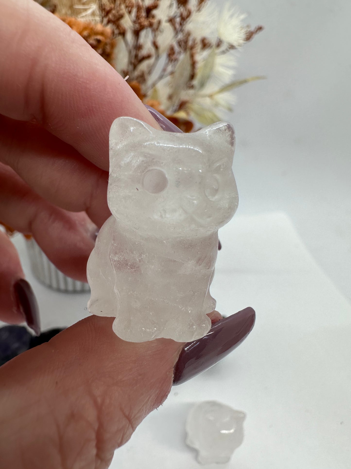 Cat Carving