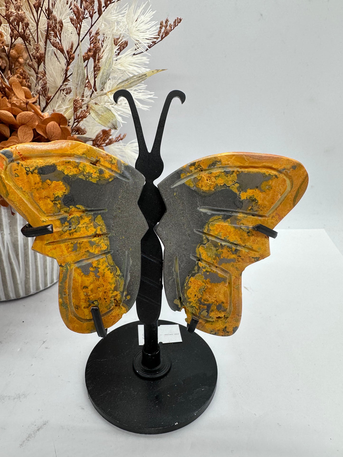 Bumble Bee Jasper Wings