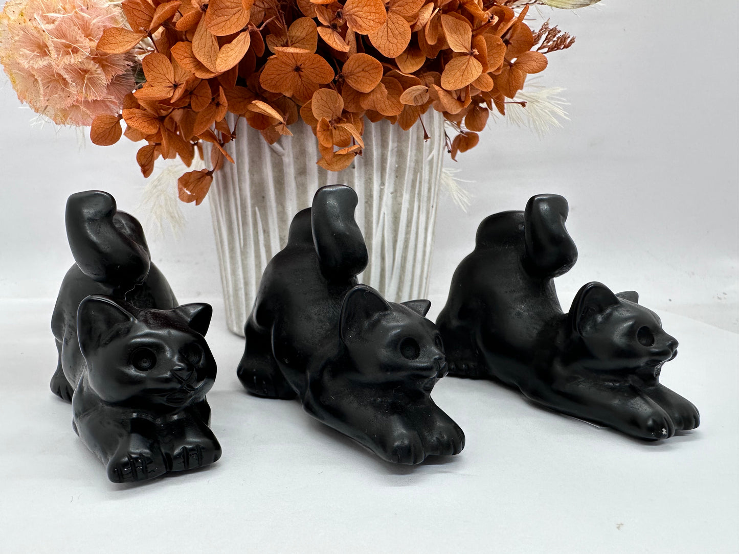 Blk Obsidian Playful Cat