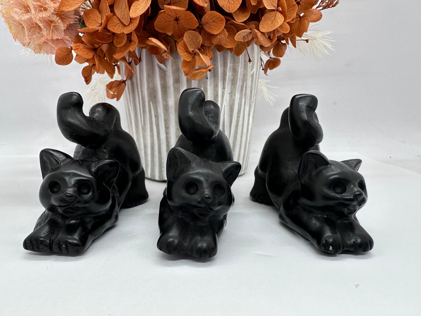 Blk Obsidian Playful Cat