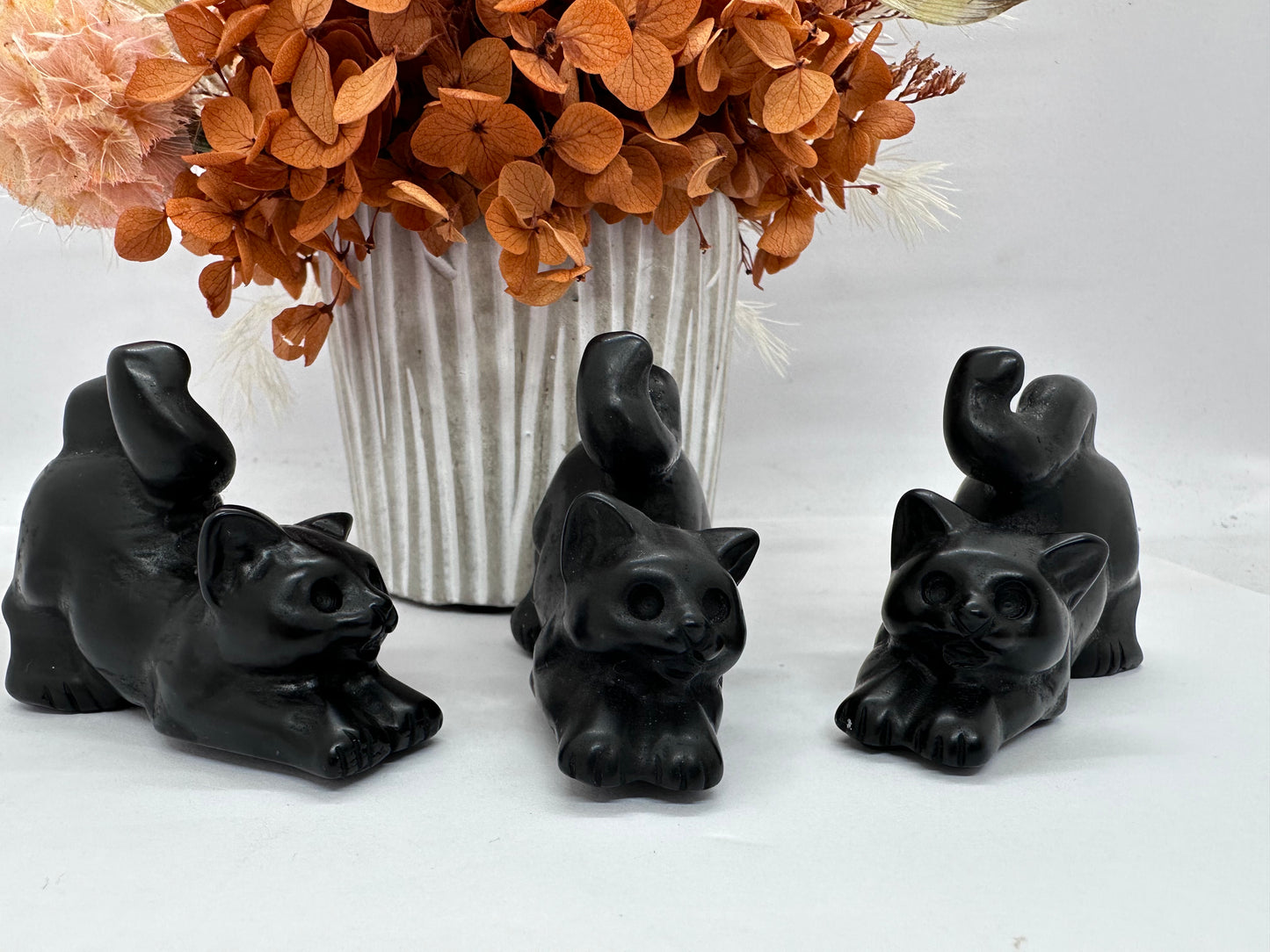 Blk Obsidian Playful Cat
