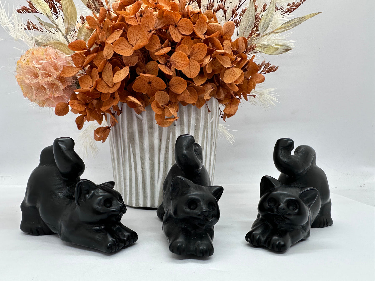 Blk Obsidian Playful Cat