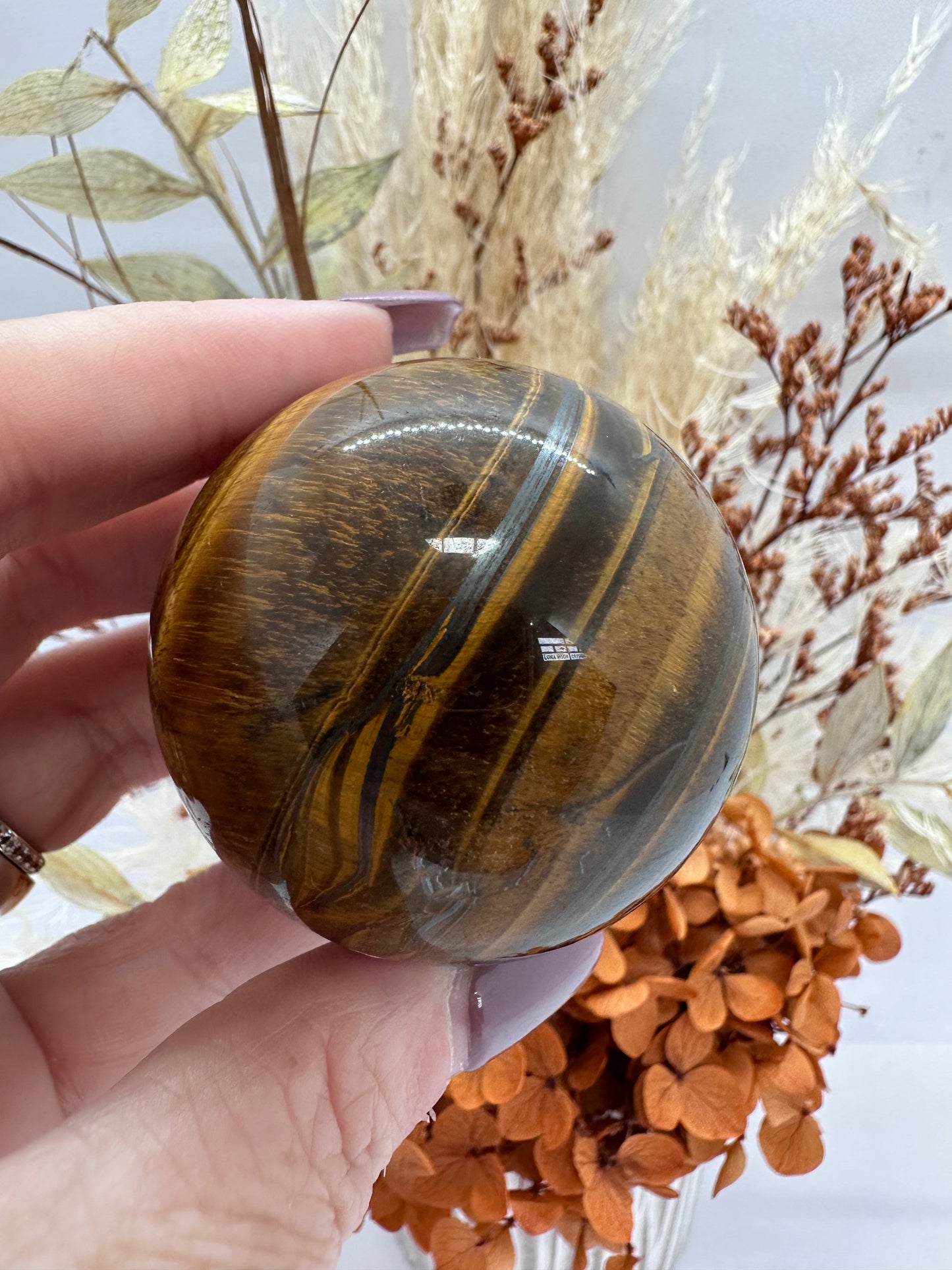 (2) Tigers Eye Sphere