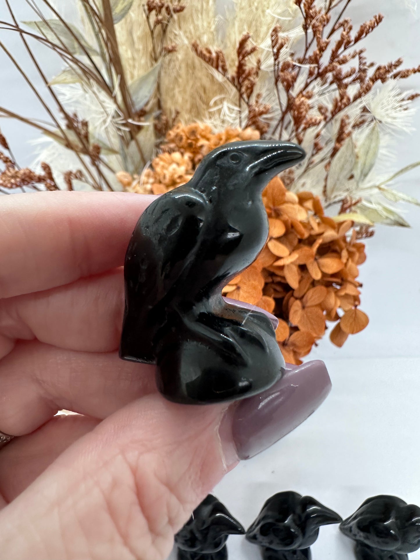 Black Obsidian Raven