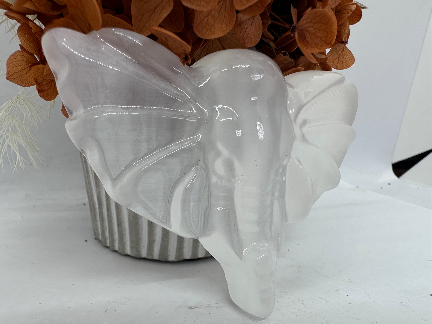 Polished Selenite Elephant