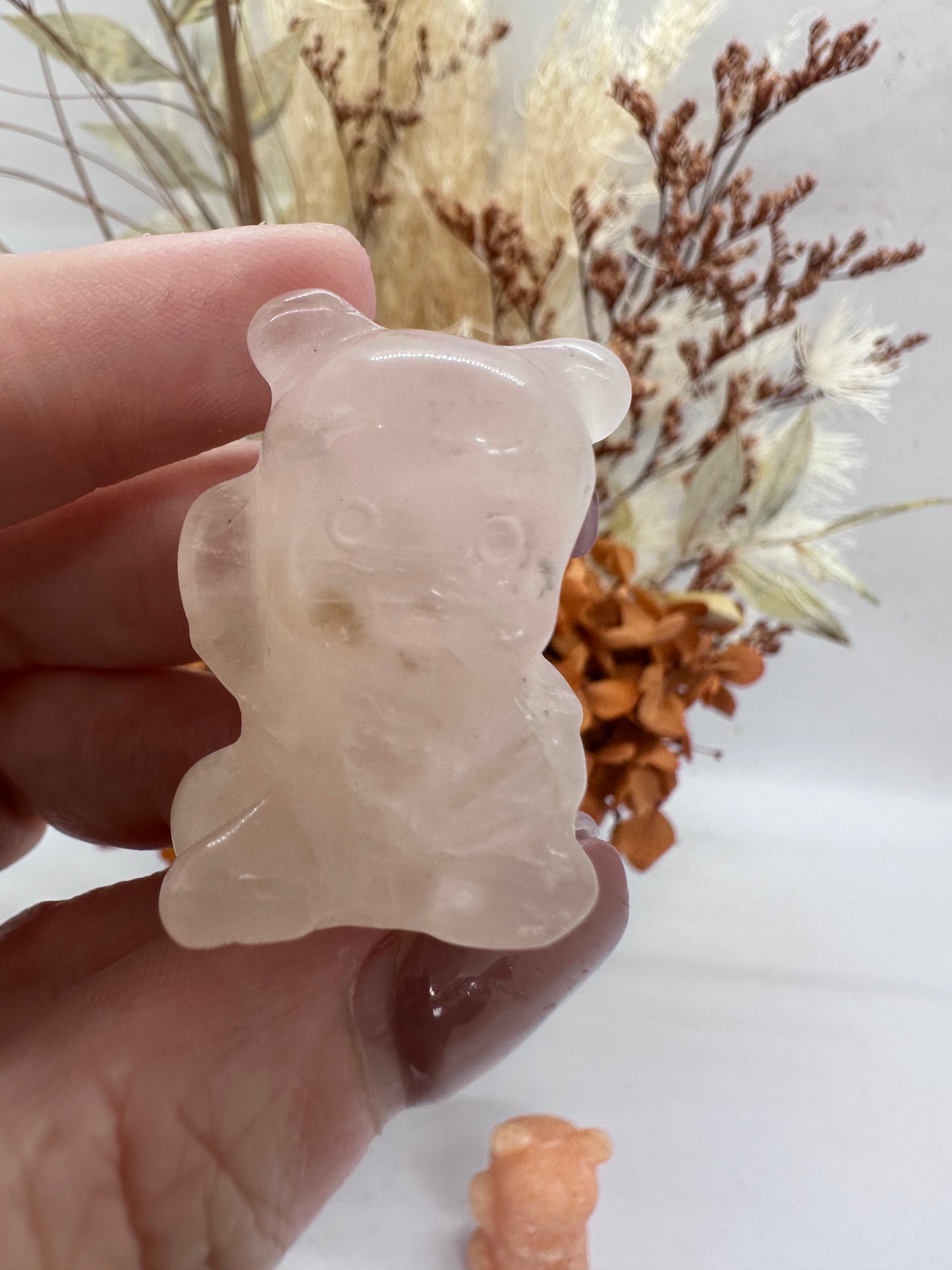 P Bear