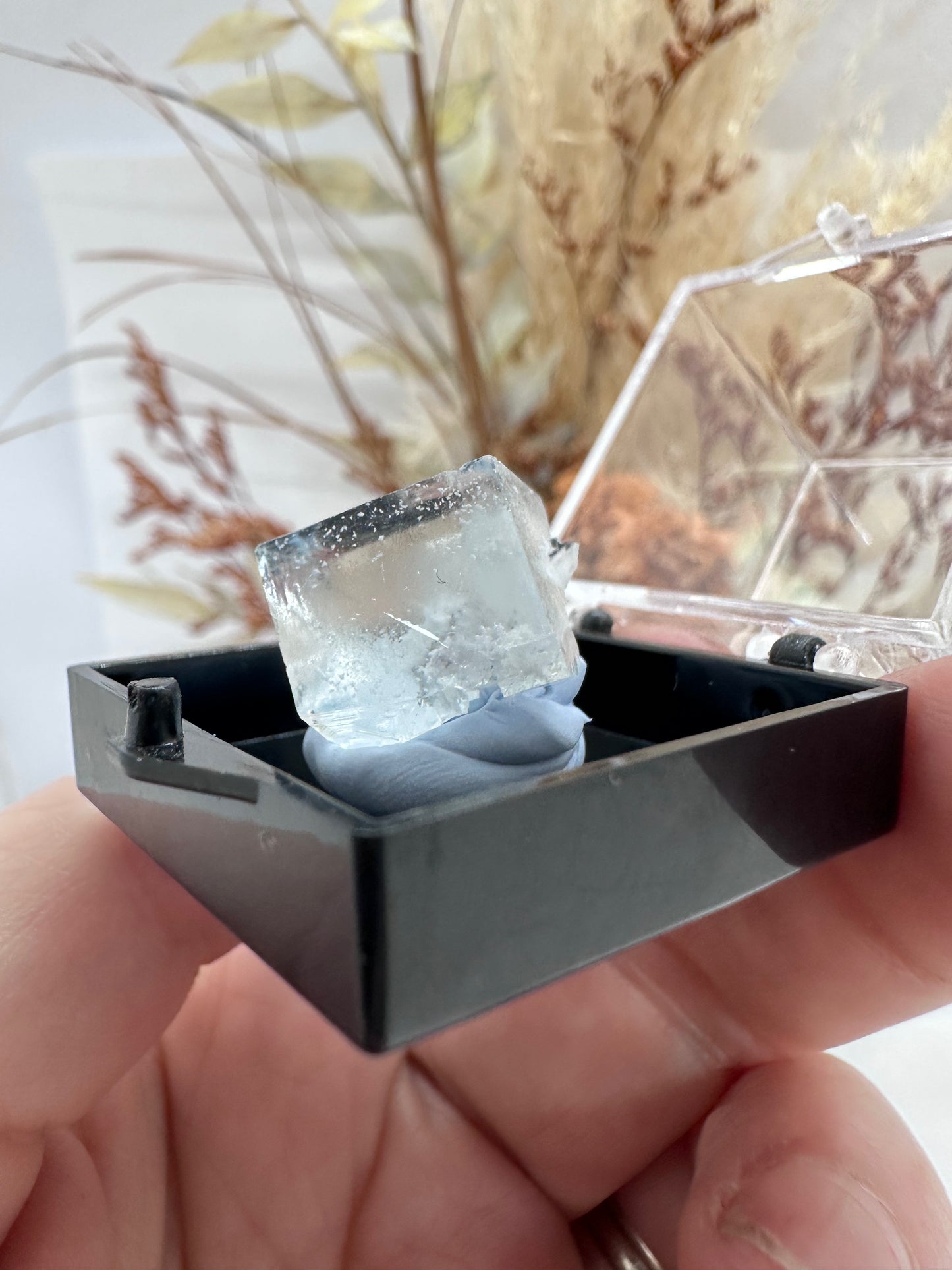 (1)Cubic Fluorite Speciman