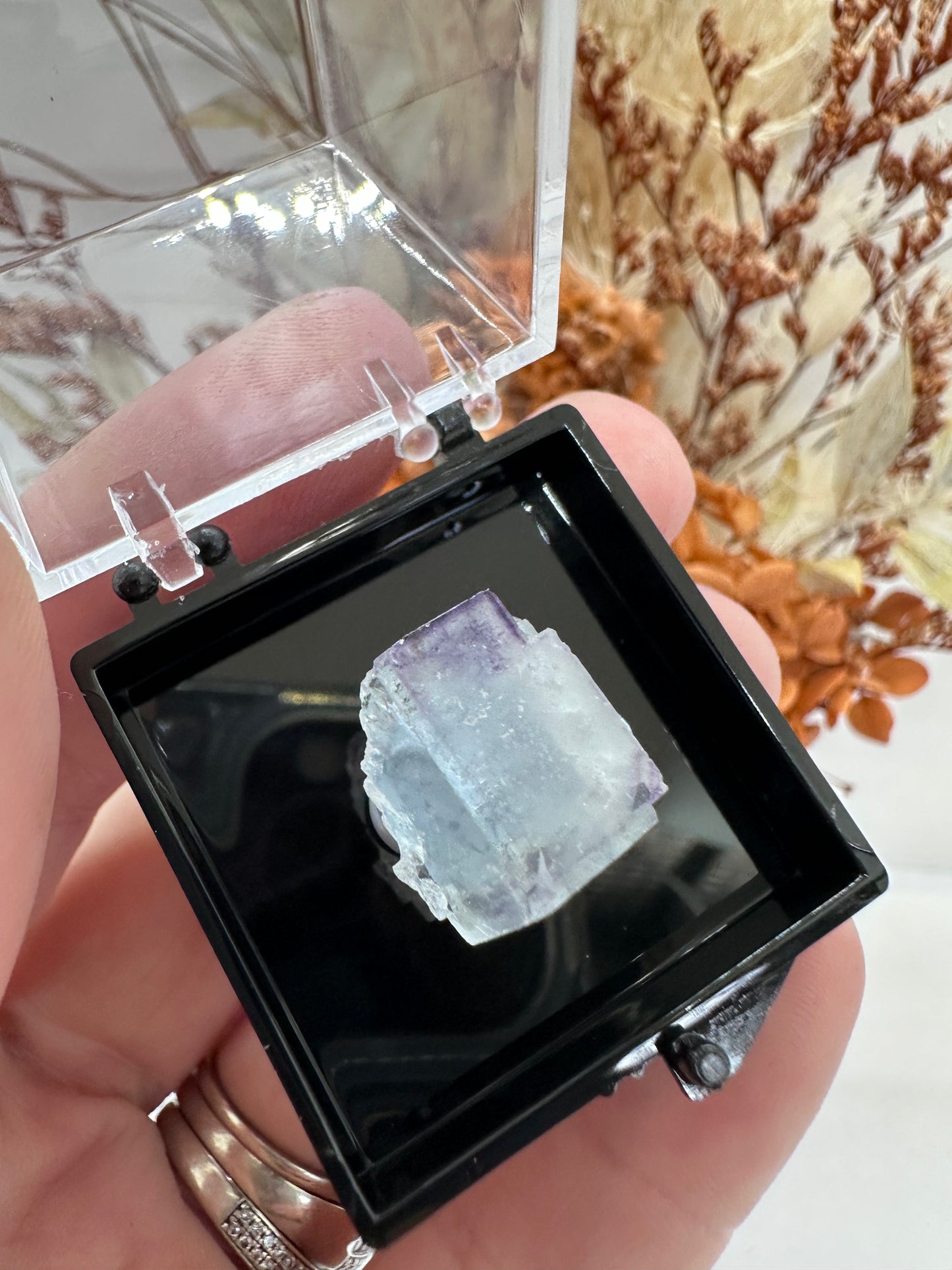 (2) Cubic Fluorite Speciman