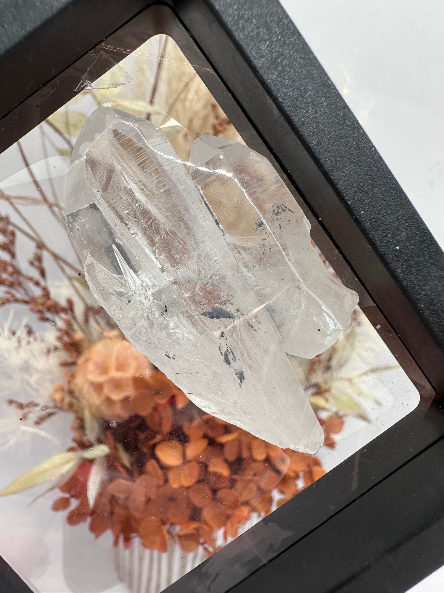 (8) Lemurian Quartz with Stibnite in case