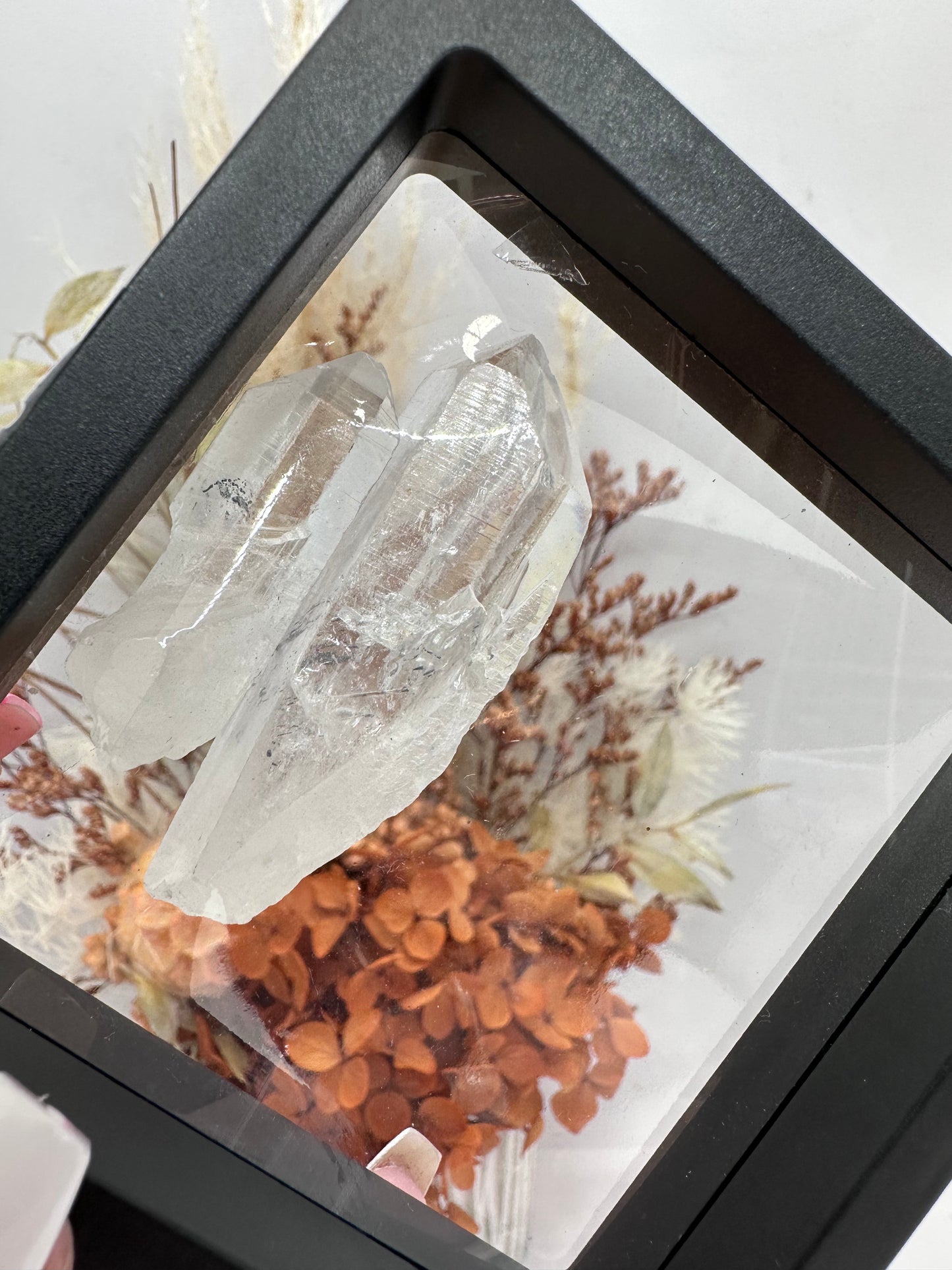 (8) Lemurian Quartz with Stibnite in case