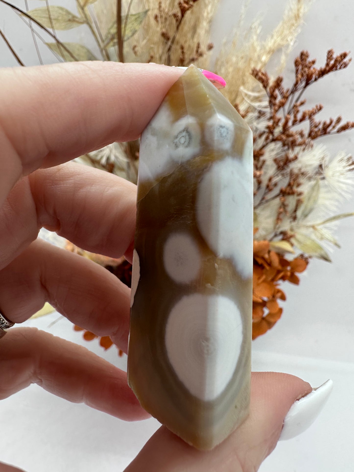 8th Vein Ocean Jasper Point