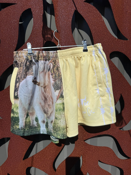 Fenella Adult Footy Shorts