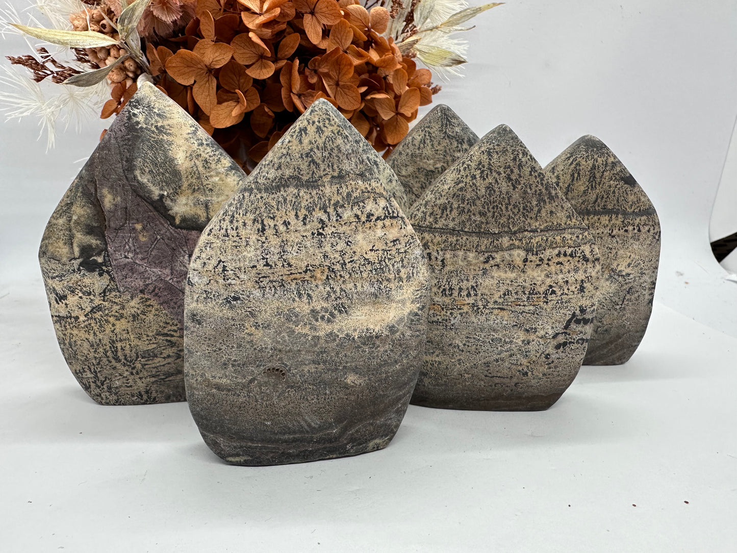 Dentritic Picture Jasper Freeforms