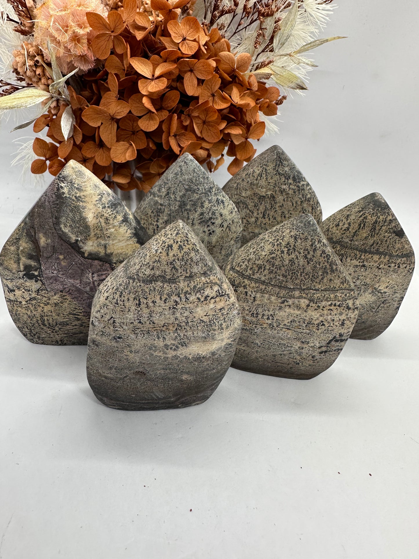 Dentritic Picture Jasper Freeforms