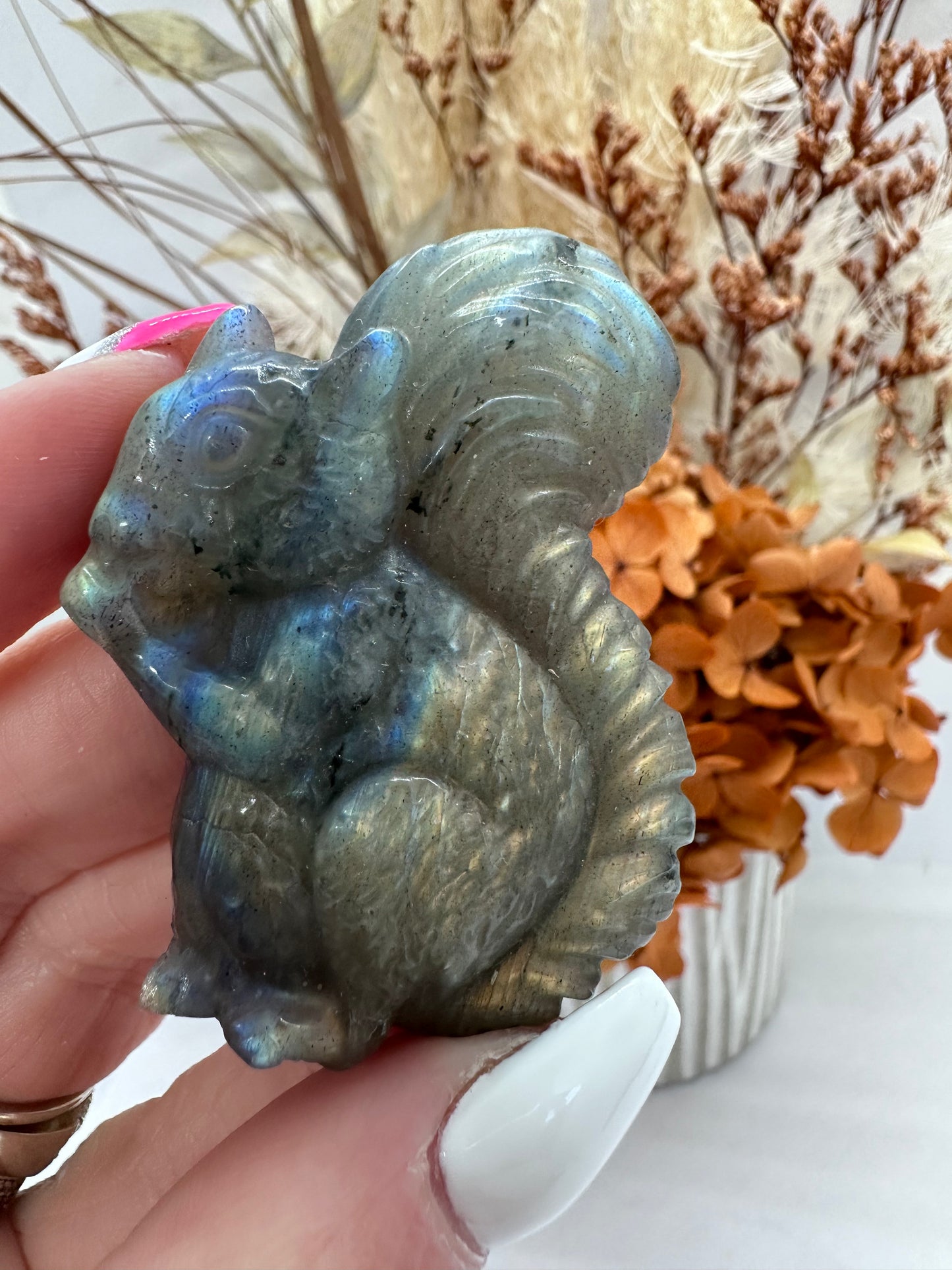 Labradorite Squirrel