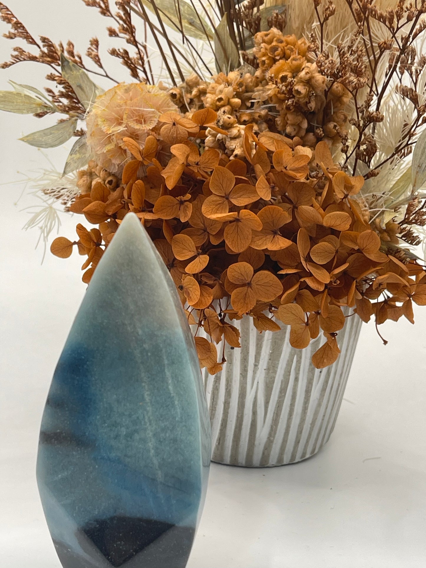 Trilolite Freeform