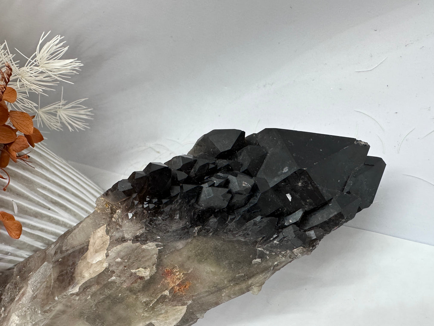 Black Quartz DT Cluster
