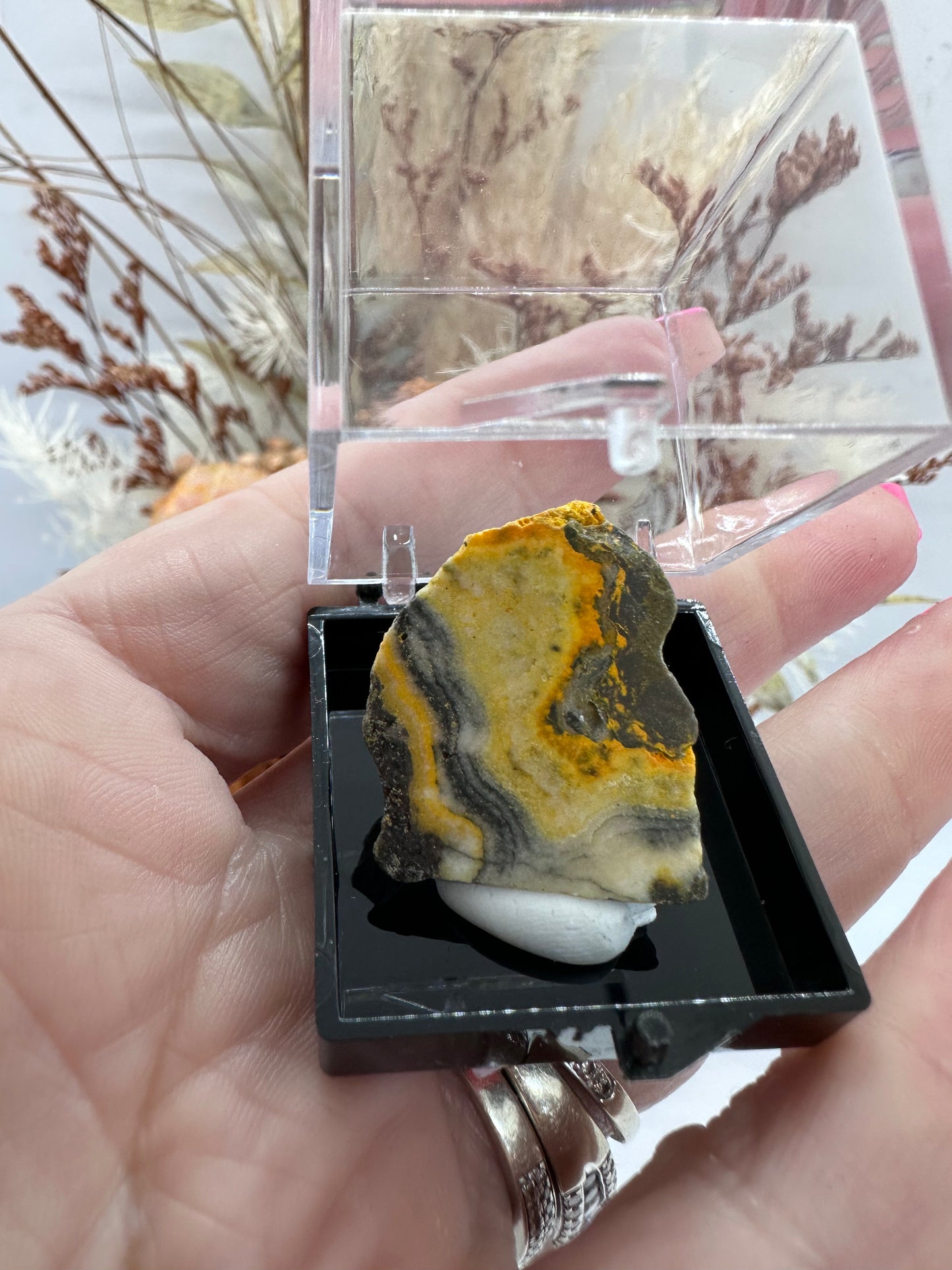 (1) Bumble Bee Jasper in Display Case