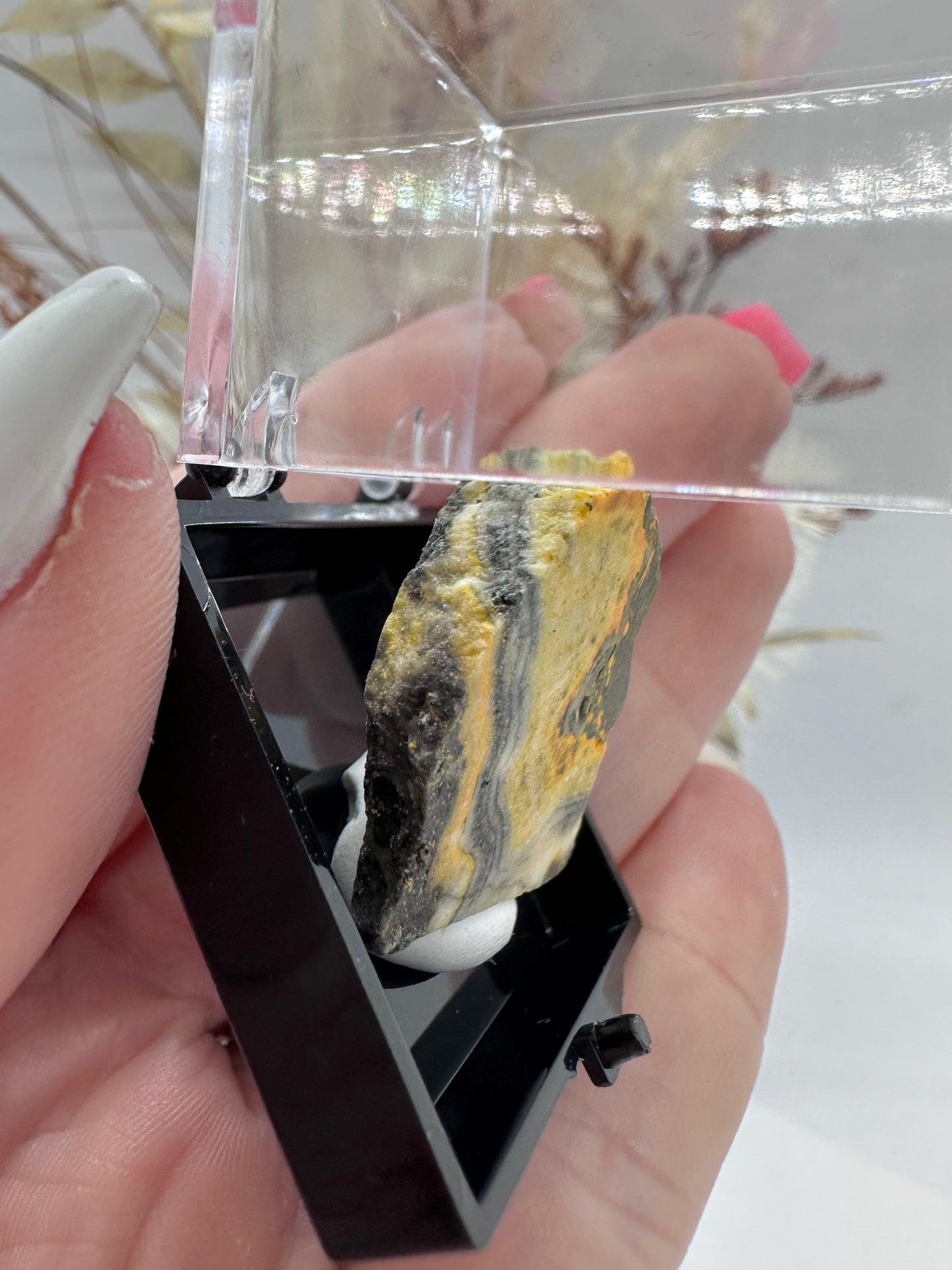 (1) Bumble Bee Jasper in Display Case