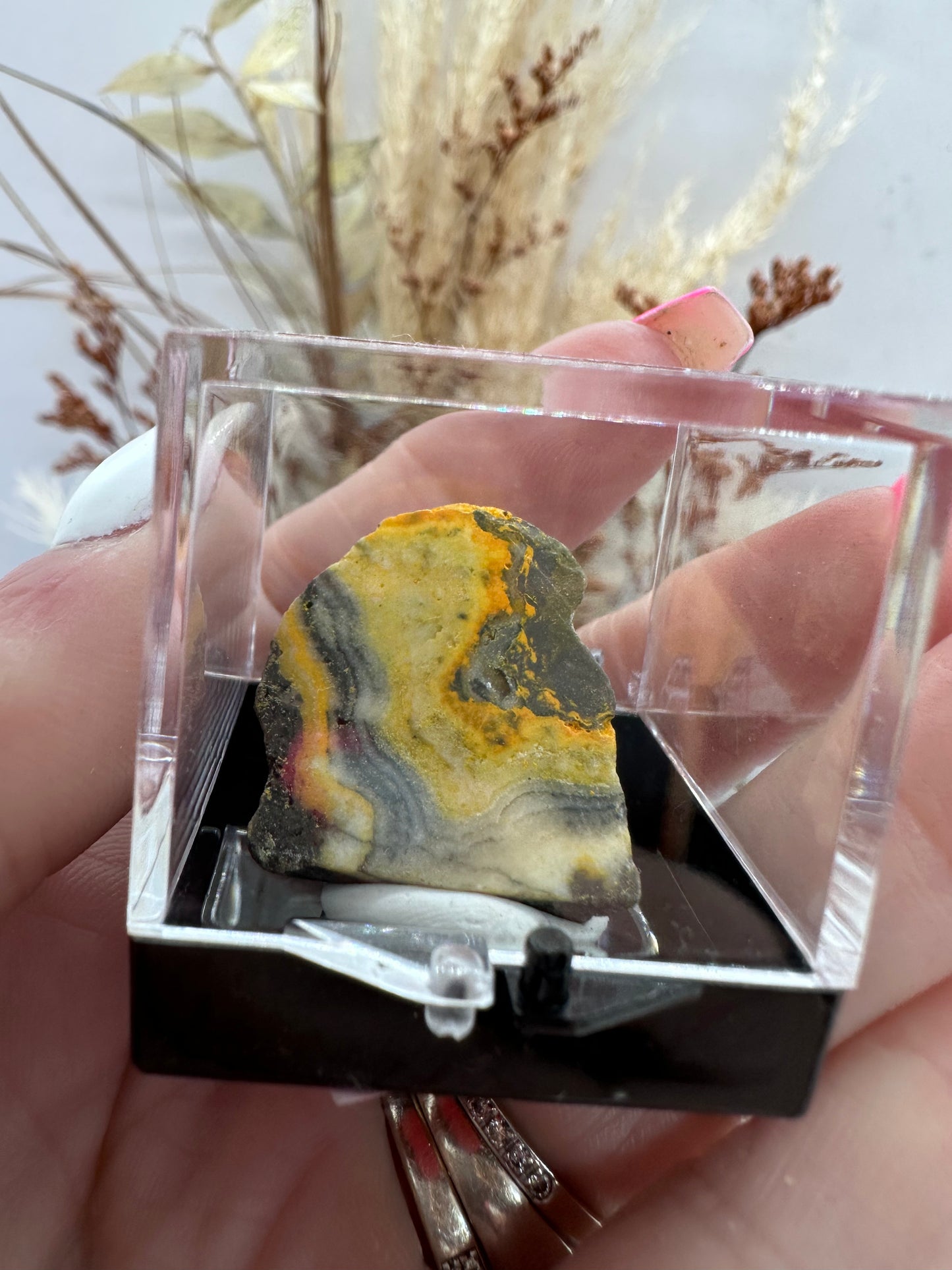 (1) Bumble Bee Jasper in Display Case