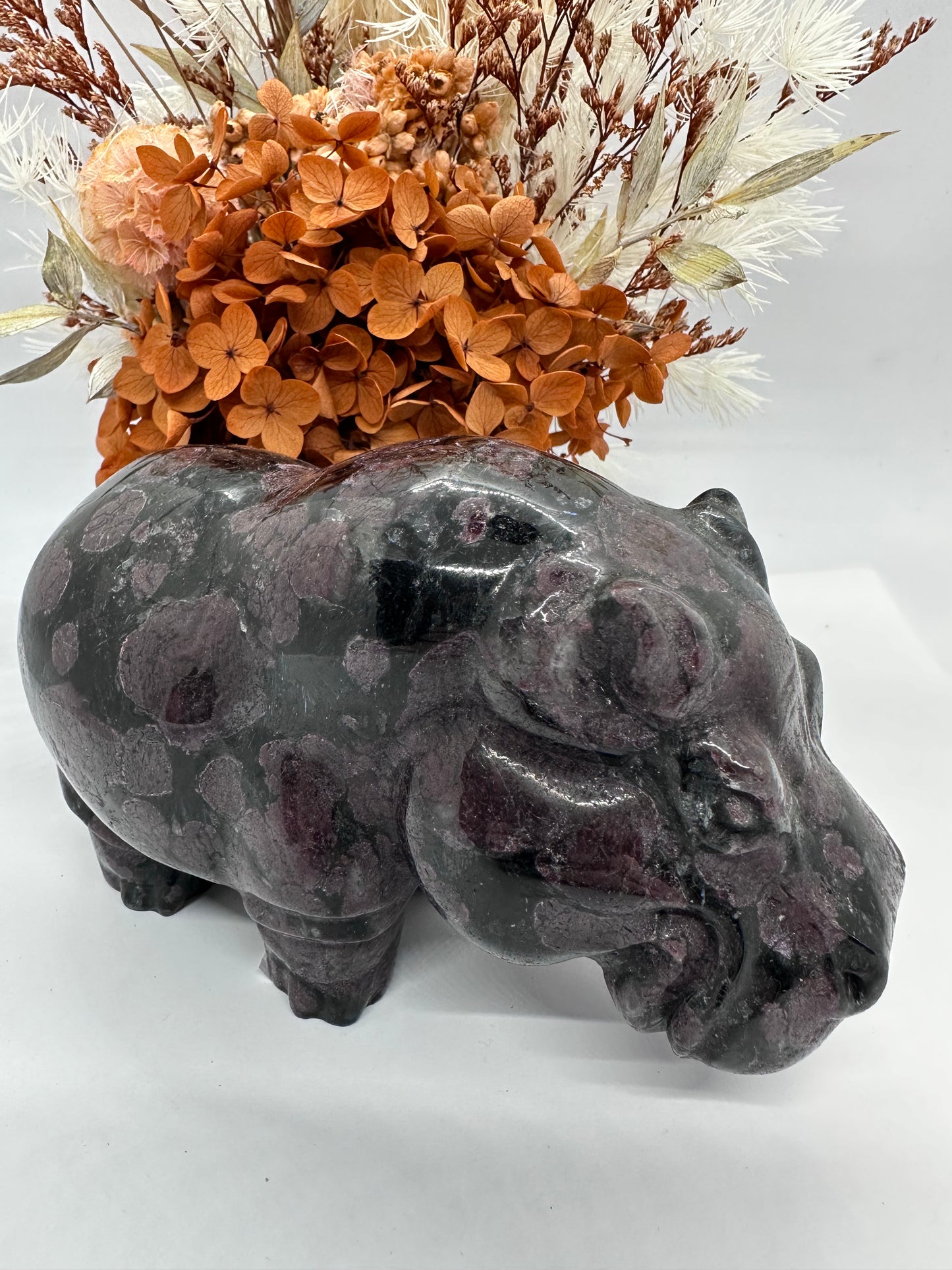 Garnet Hippo XL