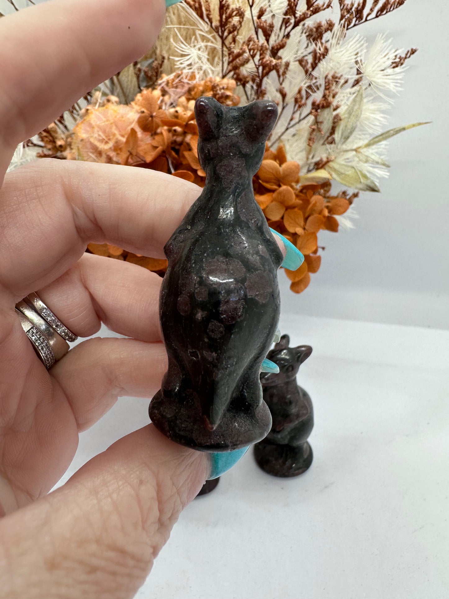 Garnet Kangaroo