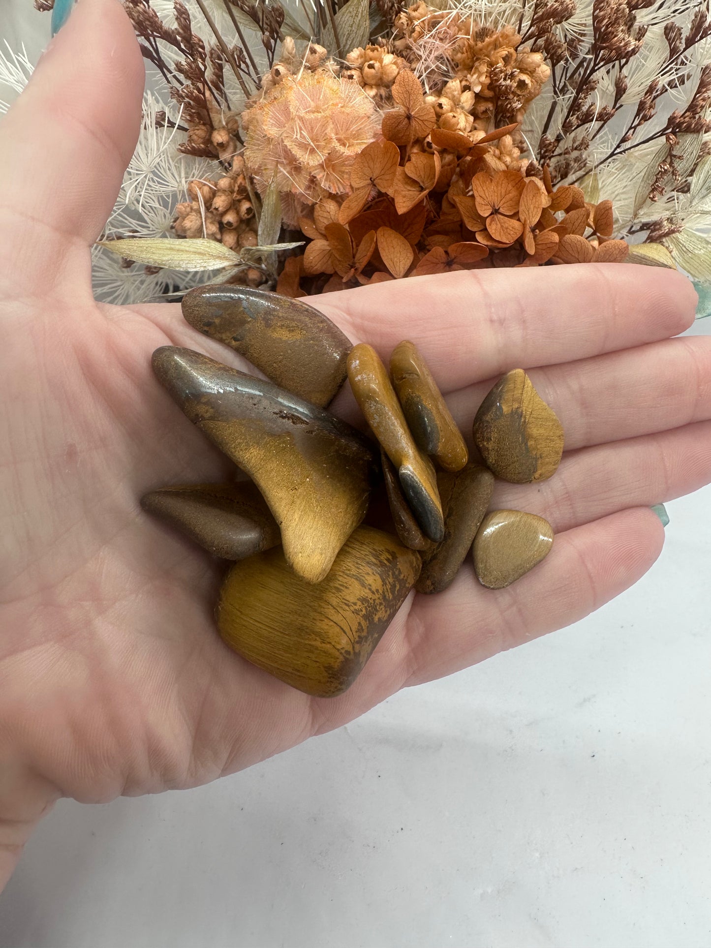 Western Australia Tigers Eye (46)