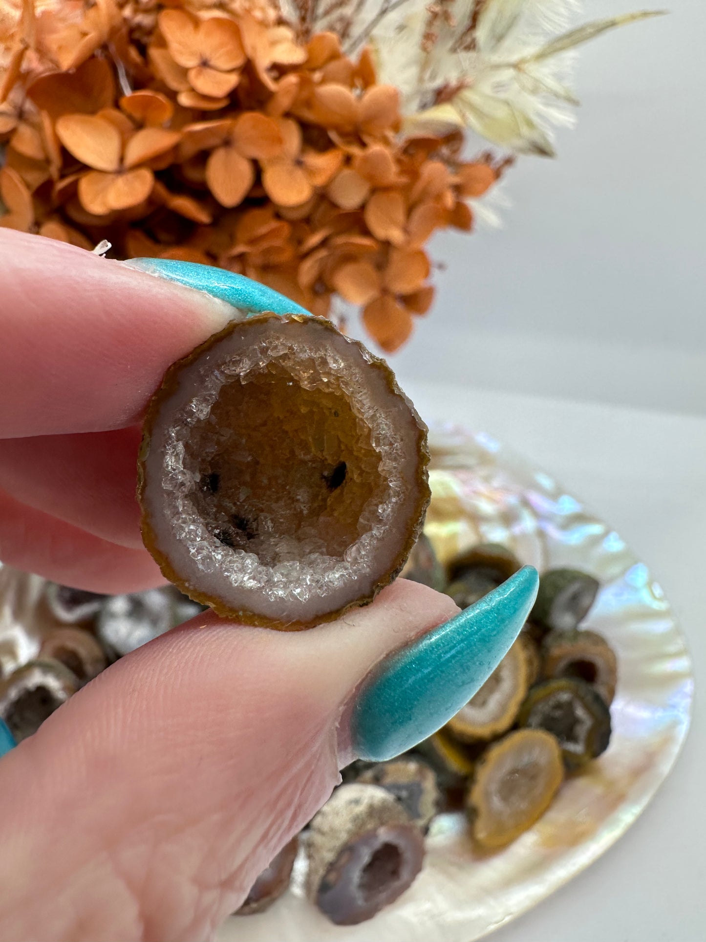 Druze Agate Nuts