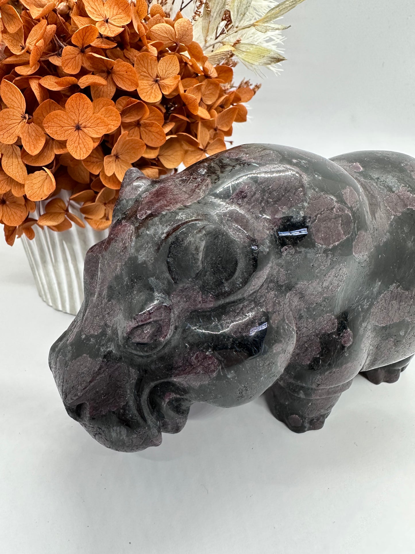 Garnet Hippo XL