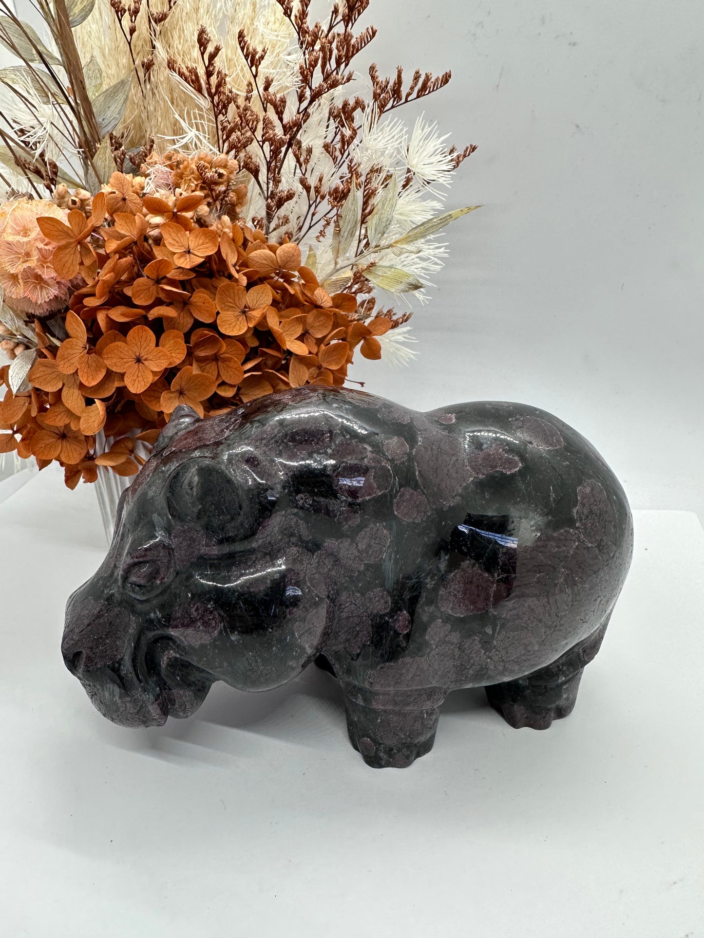 Garnet Hippo XL