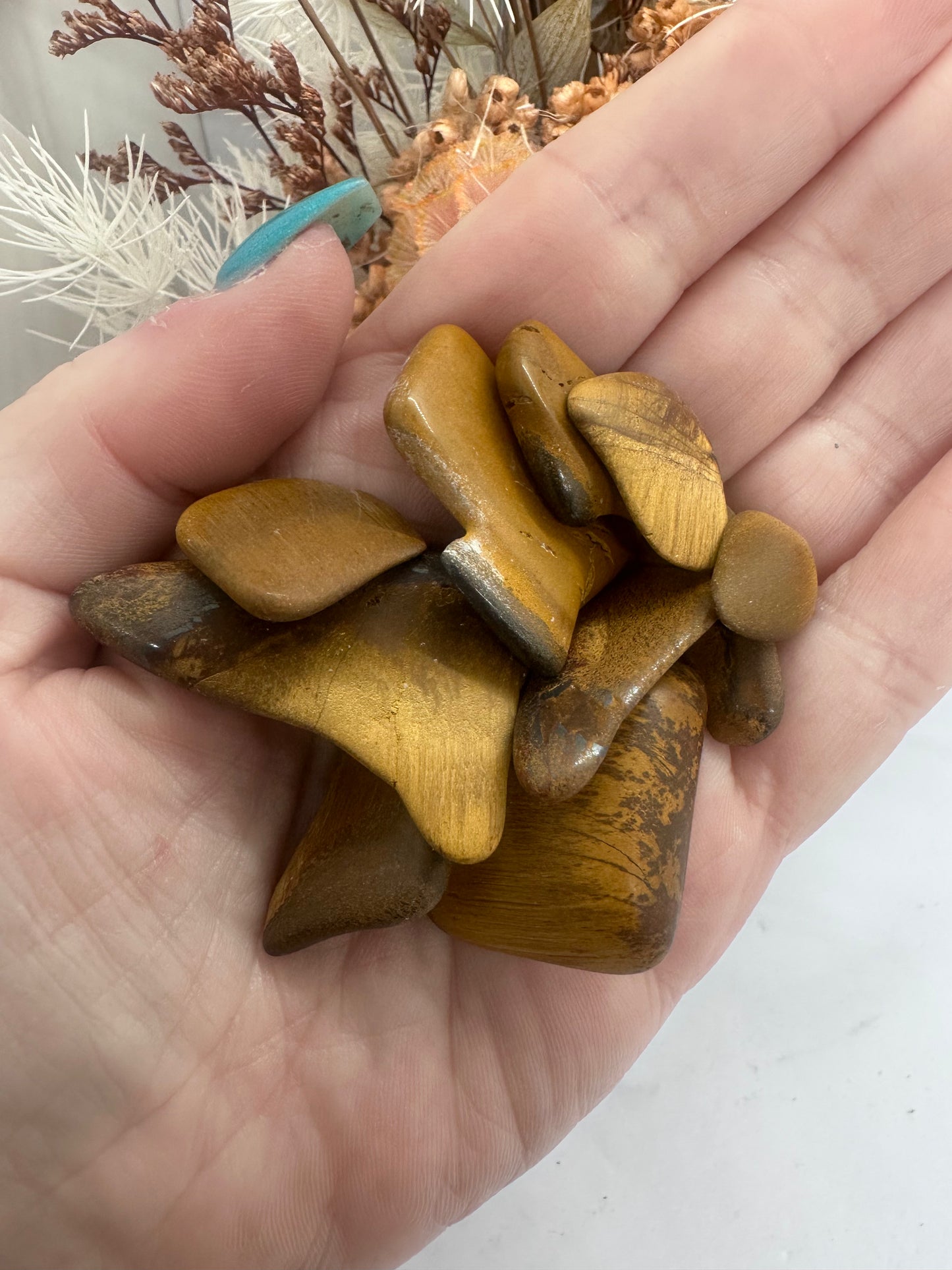 Western Australia Tigers Eye (46)