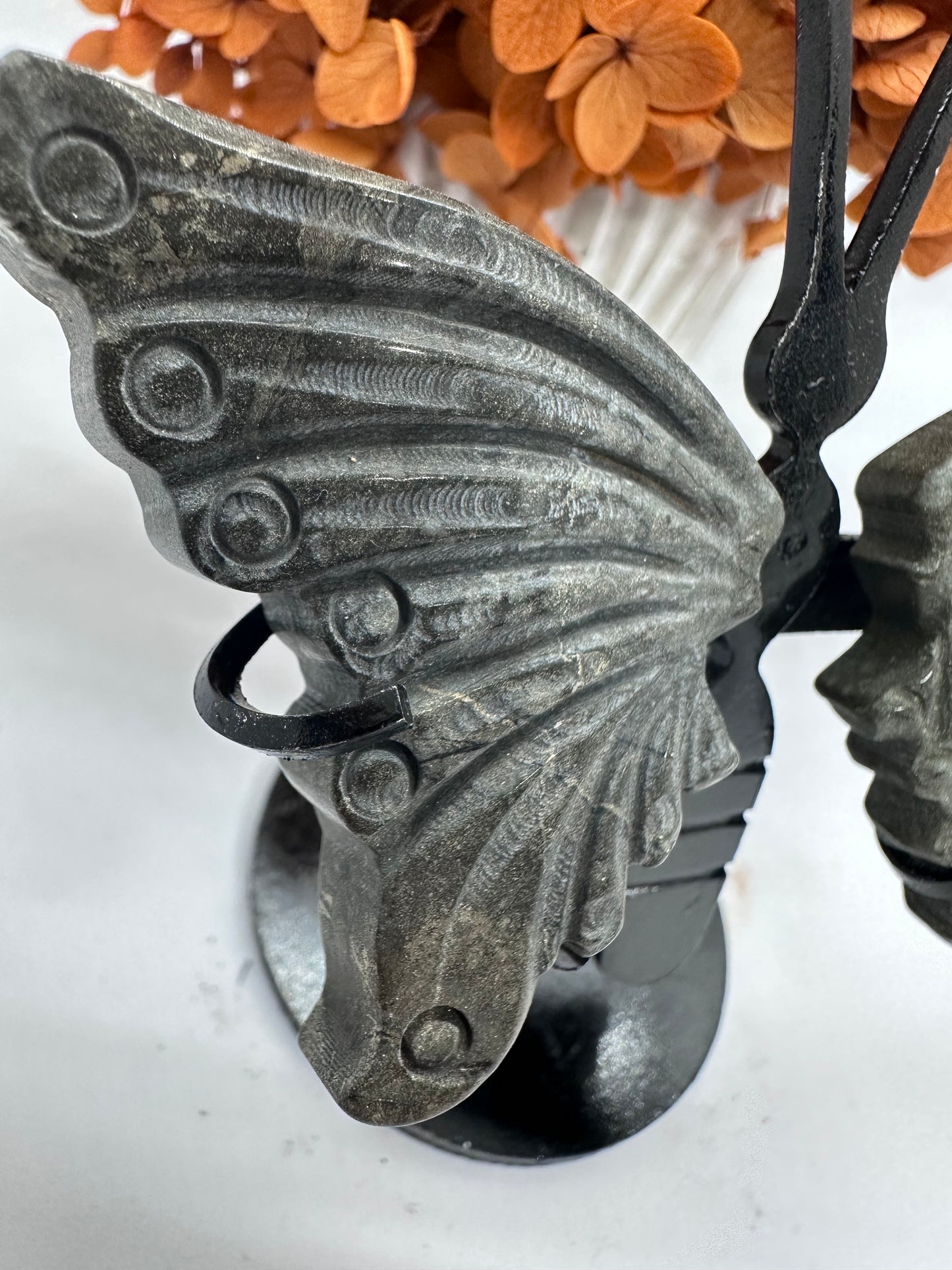 Pyrite Wings
