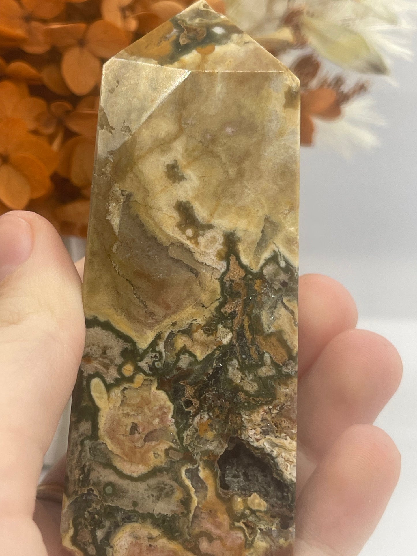 Ocean Jasper Point  (59)