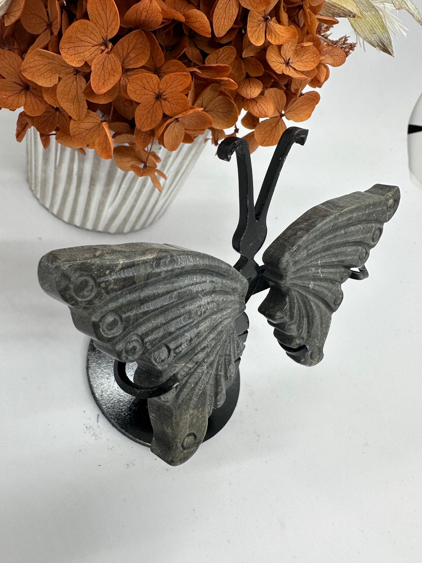 Pyrite Wings